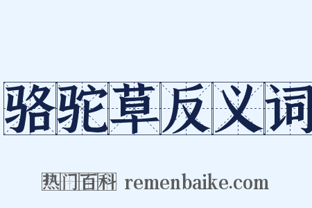 骆驼草反义词是什么意思的图片